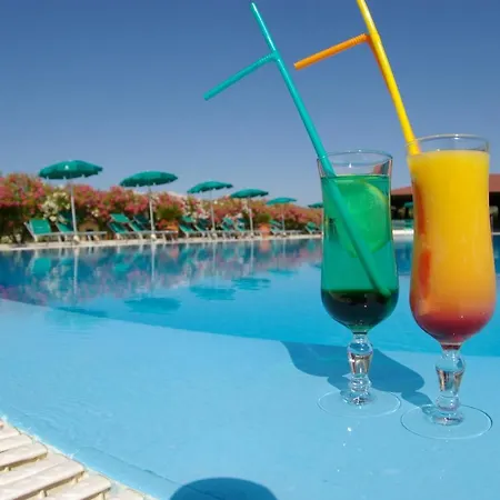 Hotel Le Palme فندق